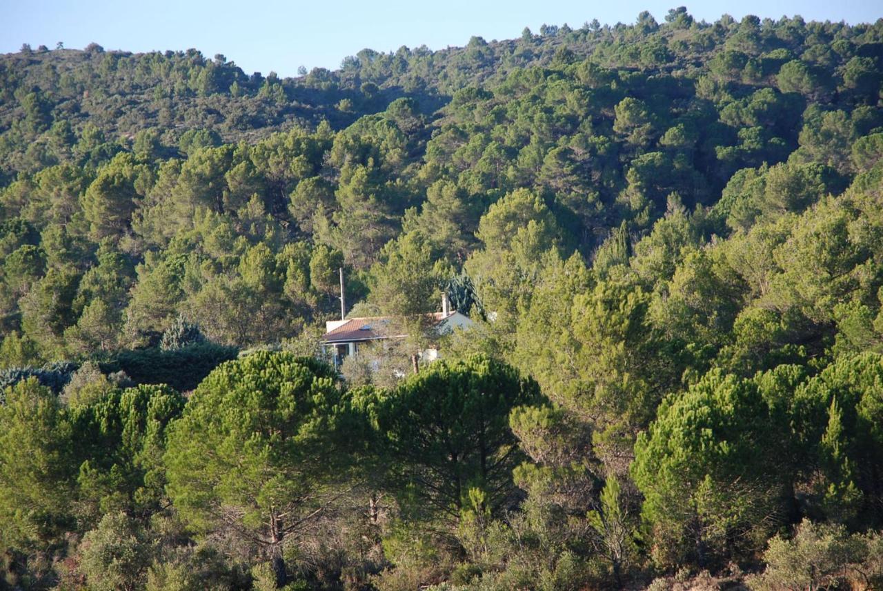 La Petite Cigale Βίλα Cesseras Εξωτερικό φωτογραφία