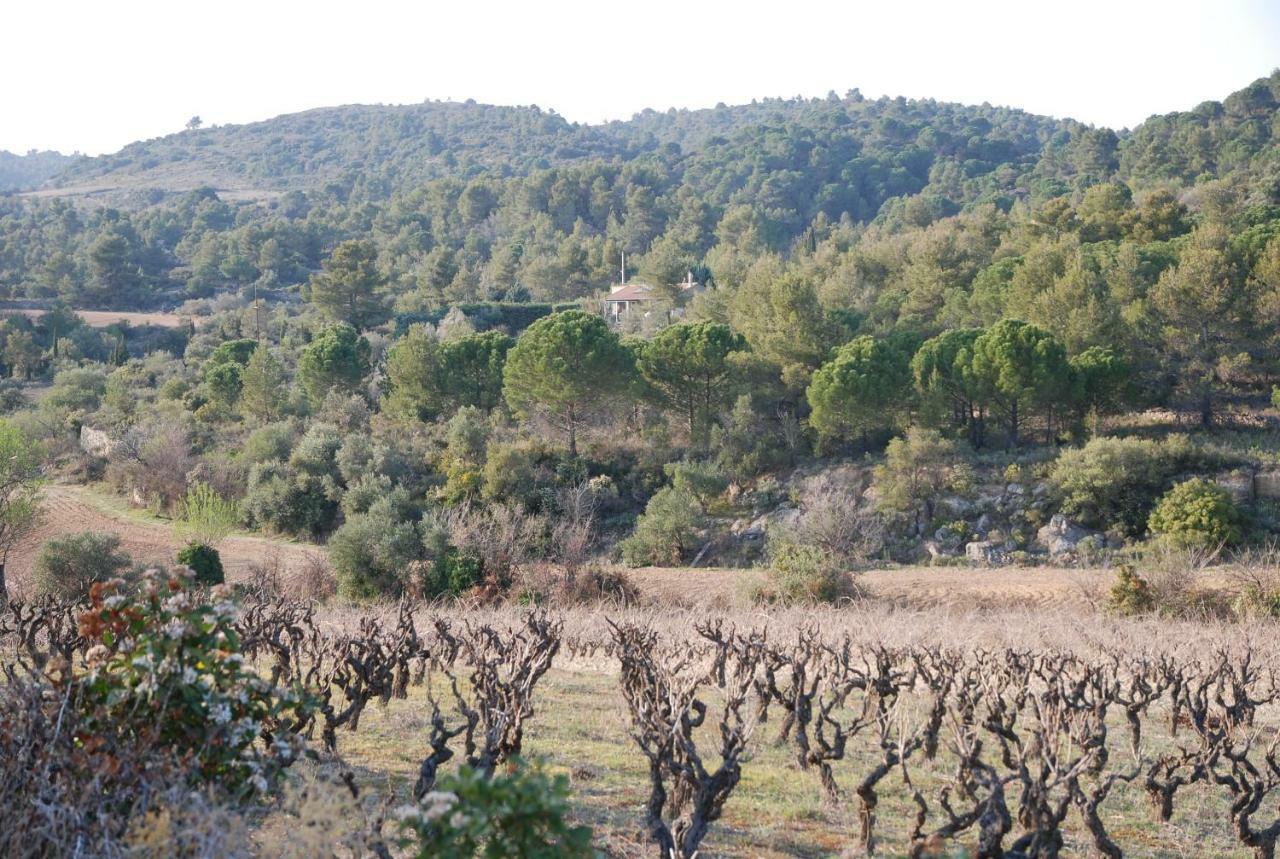 La Petite Cigale Βίλα Cesseras Εξωτερικό φωτογραφία