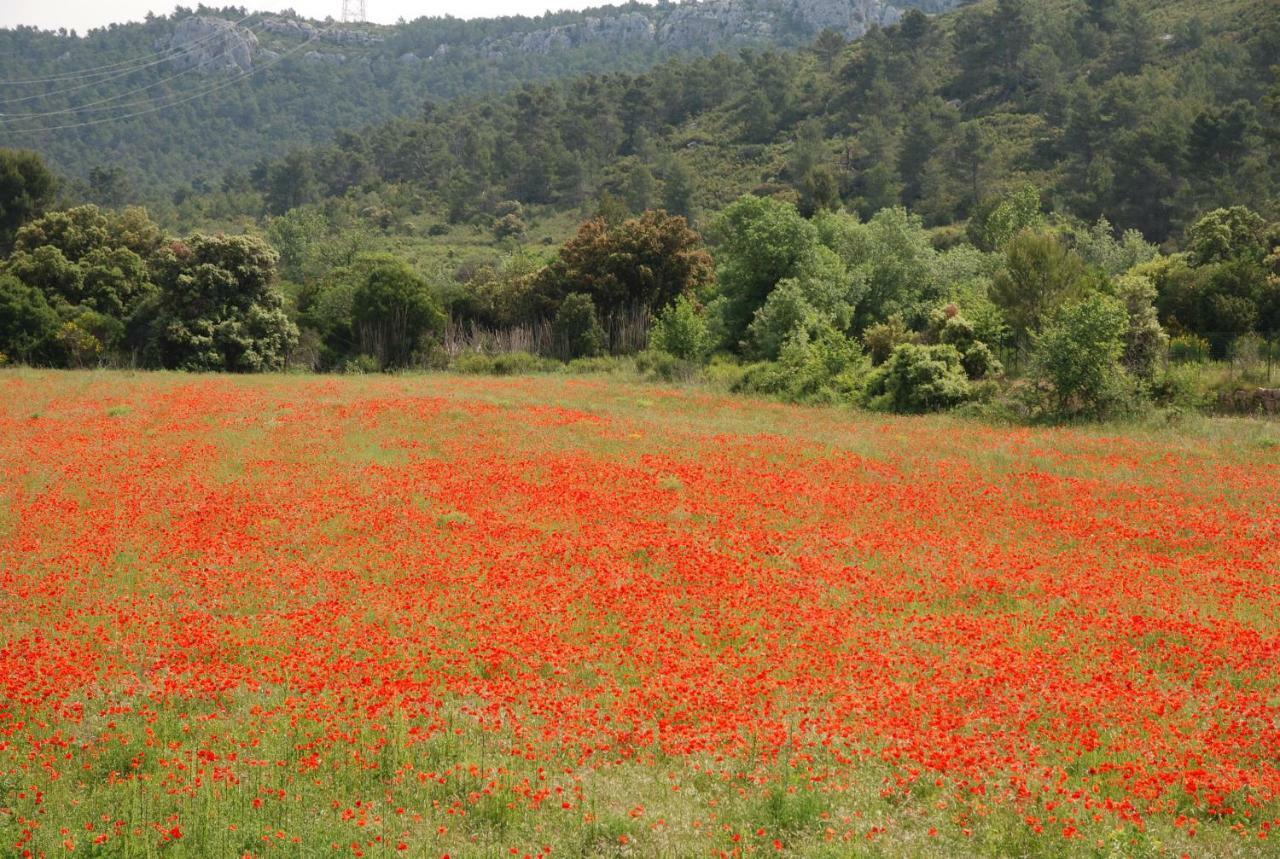 La Petite Cigale Βίλα Cesseras Εξωτερικό φωτογραφία