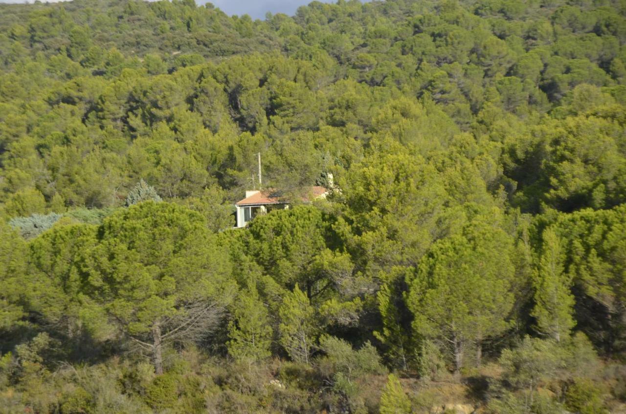 La Petite Cigale Βίλα Cesseras Εξωτερικό φωτογραφία